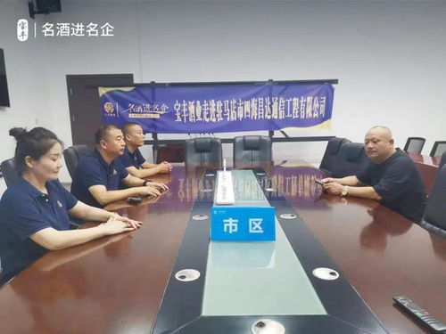 一連走進五家名企，寶豐酒業“走出去”戰略再添新篇章 信息技術咨詢服務助力企業騰飛